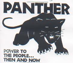 panther.jpg